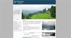 Desktop Screenshot of niigatasake.com